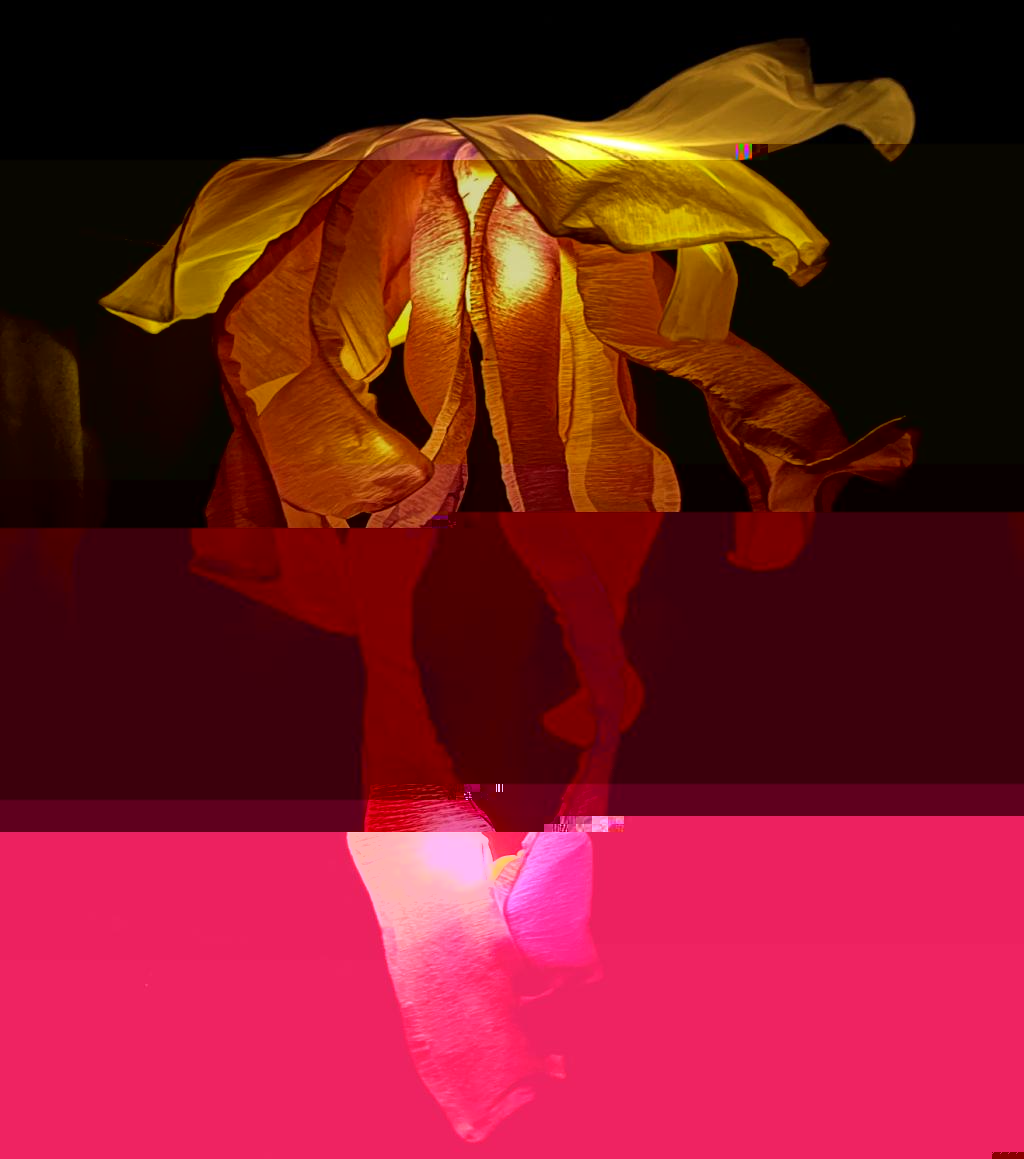 21204030214 可燚