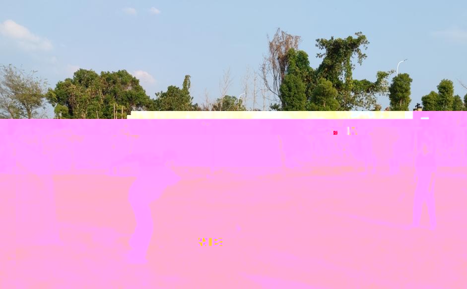 99cd7e3202653c7f723289aec4a350b