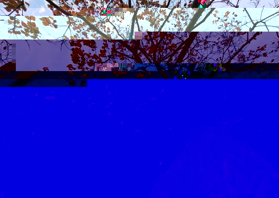 QQ圖片20221115092108