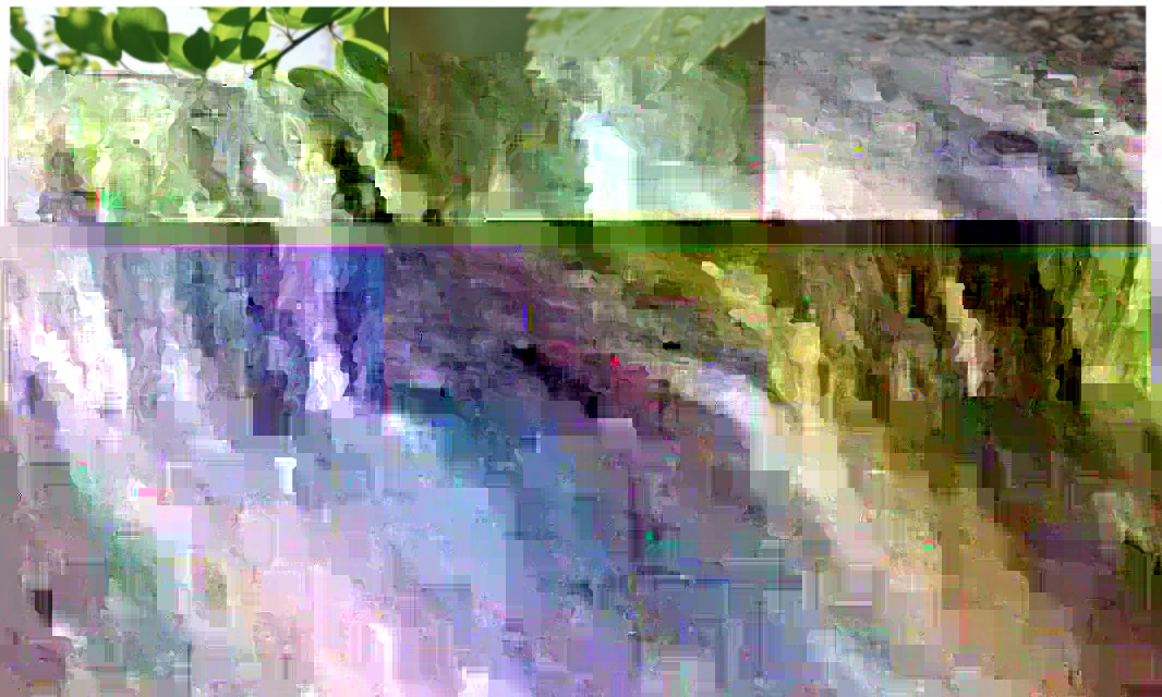 208A5395-9202-4236-8CD9-F131AB8D488A.jpeg